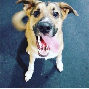 Meet your Posher, Misha